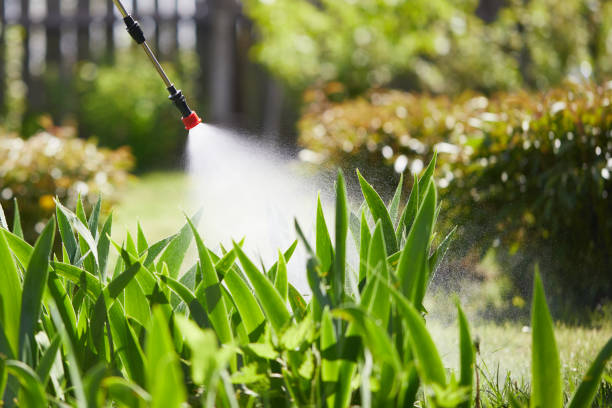 24/7 Emergency Mosquito Control experts in South Beloit, IL
