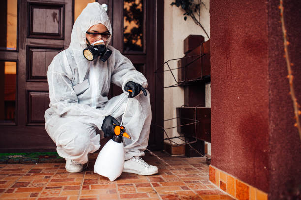 Reliable Mosquito Control contractor in South Beloit, IL by Show Me Pest Control